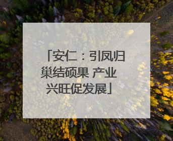 安仁：引凤归巢结硕果 产业兴旺促发展