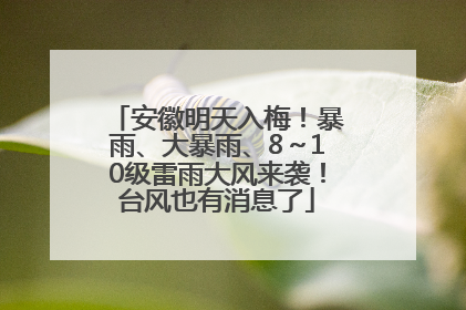 安徽明天入梅！暴雨、大暴雨、8～10级雷雨大风来袭！台风也有消息了
