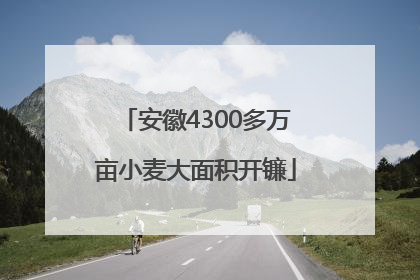 安徽4300多万亩小麦大面积开镰