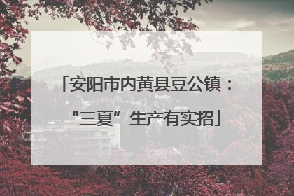 安阳市内黄县豆公镇：“三夏”生产有实招