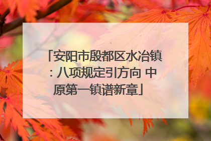 安阳市殷都区水冶镇：八项规定引方向 中原第一镇谱新章