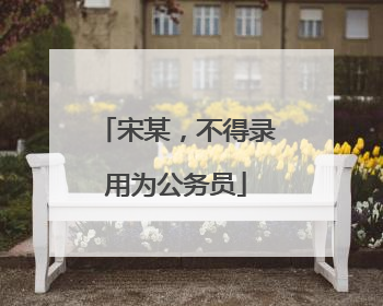 宋某，不得录用为公务员