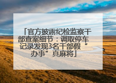 官方披露纪检监察干部查案细节：调取停车记录发现3名干部假“办事”真麻将