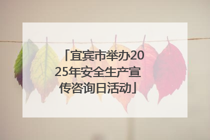 宜宾市举办2025年安全生产宣传咨询日活动