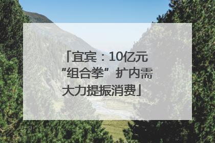 宜宾：10亿元“组合拳”扩内需 大力提振消费