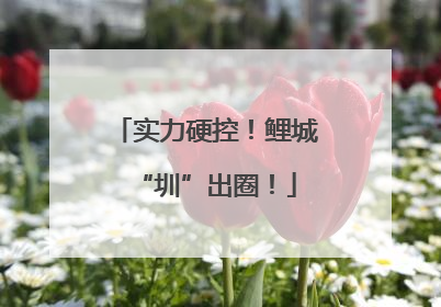 实力硬控！鲤城“圳”出圈！