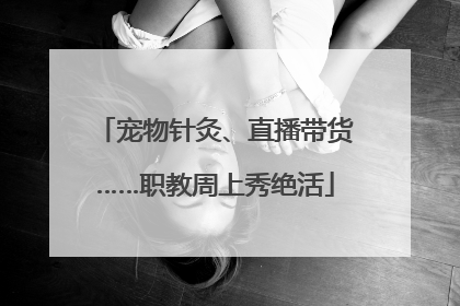 宠物针灸、直播带货……职教周上秀绝活