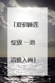 夏初睡莲绽放 一池清雅入画