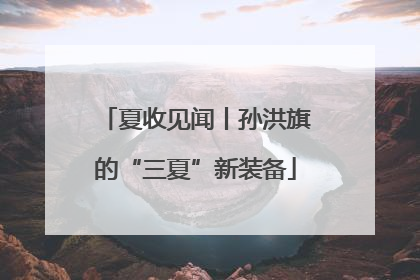 夏收见闻丨孙洪旗的“三夏”新装备