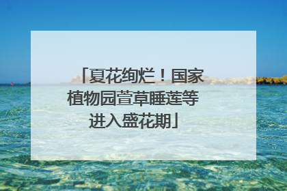 夏花绚烂！国家植物园萱草睡莲等进入盛花期