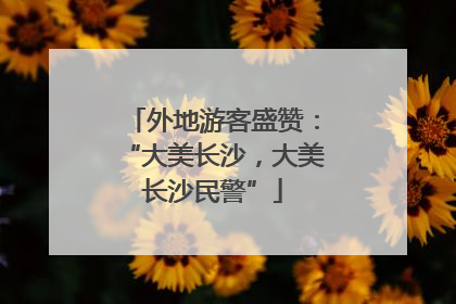 外地游客盛赞：“大美长沙，大美长沙民警”