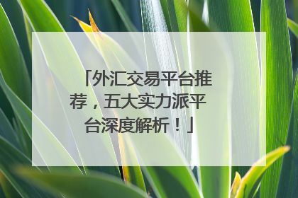 外汇交易平台推荐，五大实力派平台深度解析！