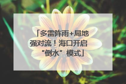 多雷阵雨+局地强对流！海口开启“倒水”模式