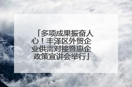 多项成果振奋人心！丰泽区外贸企业供需对接暨惠企政策宣讲会举行