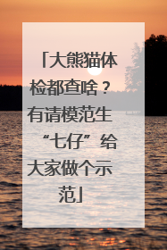 大熊猫体检都查啥？有请模范生“七仔”给大家做个示范