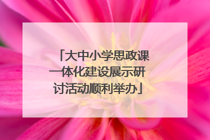 大中小学思政课一体化建设展示研讨活动顺利举办