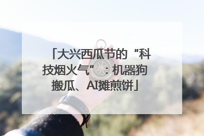 大兴西瓜节的“科技烟火气”：机器狗搬瓜、AI摊煎饼