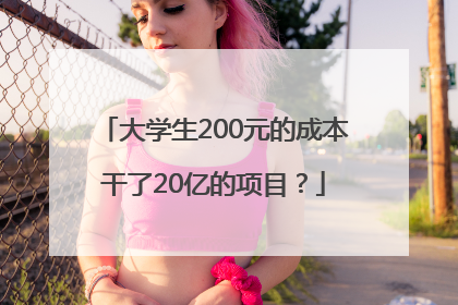 大学生200元的成本干了20亿的项目？