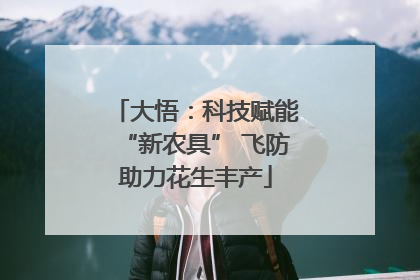 大悟：科技赋能“新农具” 飞防助力花生丰产