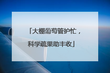 大棚葡萄管护忙，科学疏果助丰收