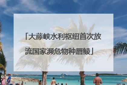 大藤峡水利枢纽首次放流国家濒危物种唇鲮