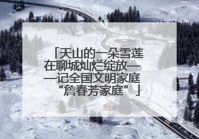 天山的一朵雪莲在聊城灿烂绽放——记全国文明家庭“詹春芳家庭”