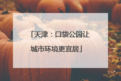 天津：口袋公园让城市环境更宜居