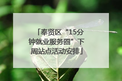 奉贤区“15分钟就业服务圈”下周站点活动安排