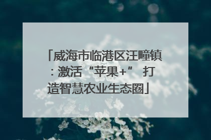 威海市临港区汪疃镇：激活“苹果+” 打造智慧农业生态圈