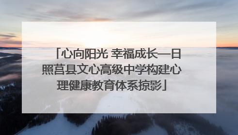 心向阳光 幸福成长—日照莒县文心高级中学构建心理健康教育体系掠影