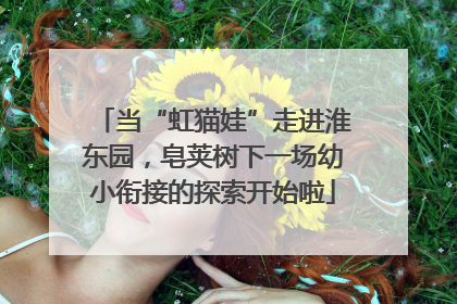 当“虹猫娃”走进淮东园，皂荚树下一场幼小衔接的探索开始啦