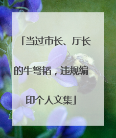 当过市长、厅长的牛弩韬，违规编印个人文集