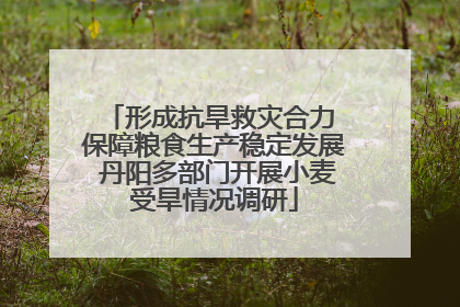形成抗旱救灾合力 保障粮食生产稳定发展 丹阳多部门开展小麦受旱情况调研