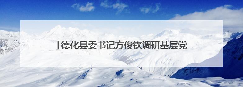 德化县委书记方俊钦调研基层党建、乡村振兴及防汛备汛工作