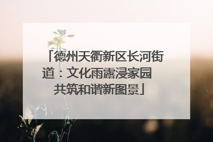 德州天衢新区长河街道：文化雨露浸家园 共筑和谐新图景