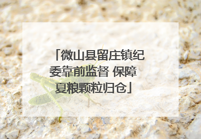 微山县留庄镇纪委靠前监督 保障夏粮颗粒归仓