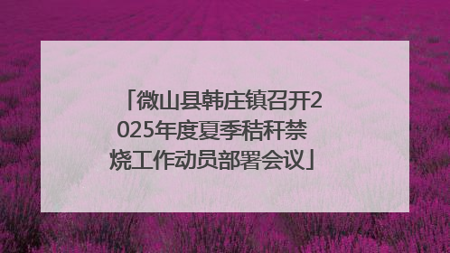 微山县韩庄镇召开2025年度夏季秸秆禁烧工作动员部署会议