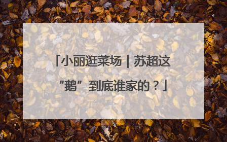 小丽逛菜场｜苏超这“鹅”到底谁家的？