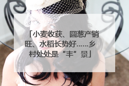 小麦收获、圆葱产销旺、水稻长势好……乡村处处是“丰”景
