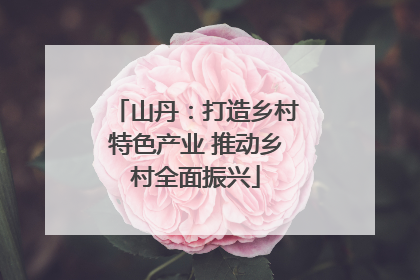 山丹：打造乡村特色产业 推动乡村全面振兴
