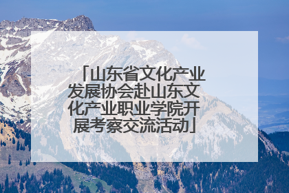 山东省文化产业发展协会赴山东文化产业职业学院开展考察交流活动