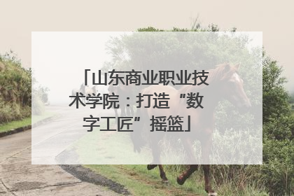 山东商业职业技术学院：打造“数字工匠”摇篮