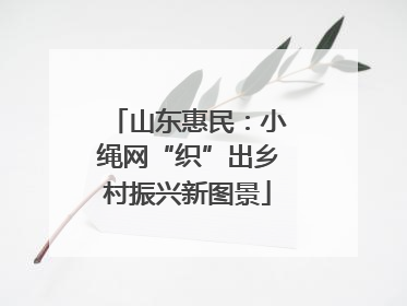 山东惠民：小绳网“织”出乡村振兴新图景