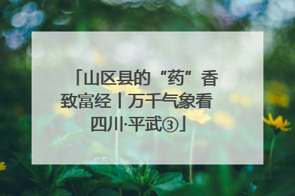 山区县的“药”香致富经丨万千气象看四川·平武③