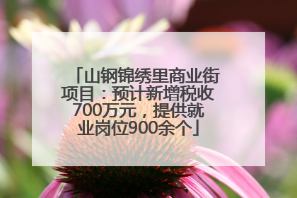 山钢锦绣里商业街项目：预计新增税收700万元，提供就业岗位900余个