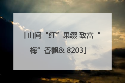 山间“红”果缀 致富“梅”香飘& 8203