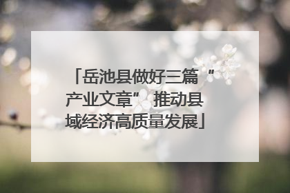 岳池县做好三篇“产业文章” 推动县域经济高质量发展