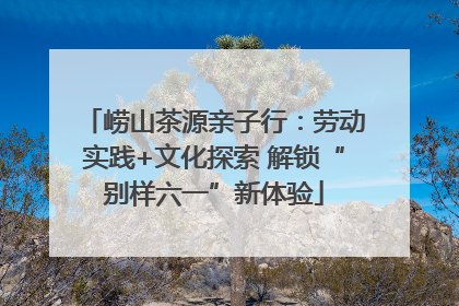 崂山茶源亲子行：劳动实践+文化探索 解锁“别样六一”新体验