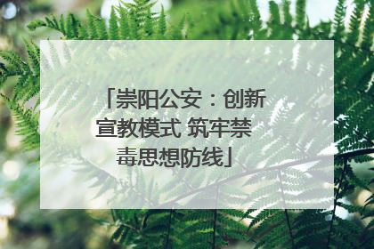 崇阳公安：创新宣教模式 筑牢禁毒思想防线