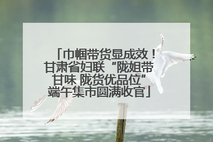 巾帼带货显成效！甘肃省妇联“陇姐带甘味 陇货优品位”端午集市圆满收官